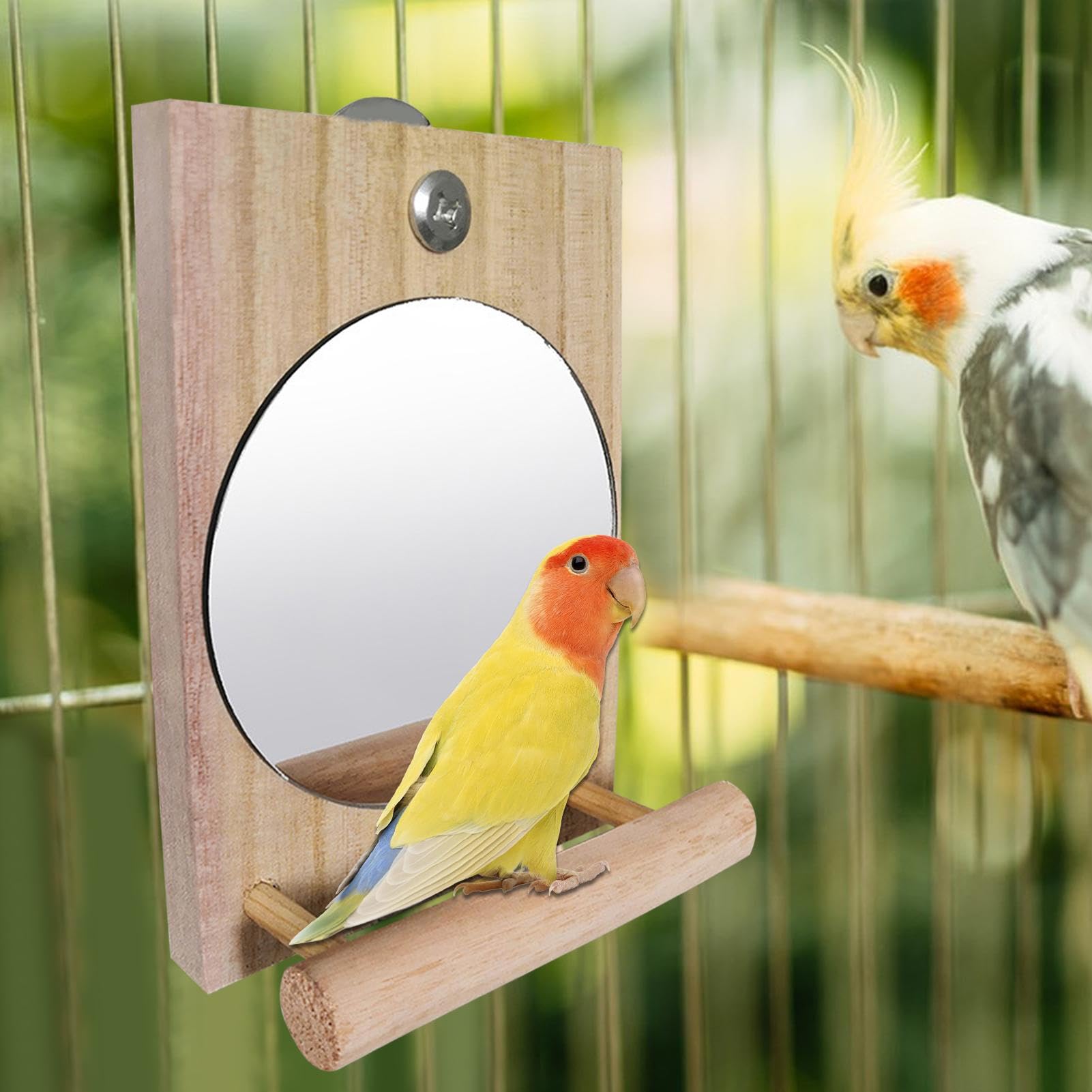 Amazon | Parlayildiz バードミラー | 鳥用止まり木と鏡のオウム